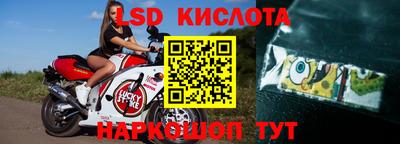 PSILOCYBIN Камышлов