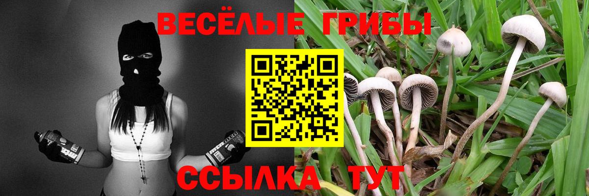 Галлюциногенные грибы Psilocybine cubensis  Вход с VPN  Курчалой  Галлюциногенные грибы мухоморы 