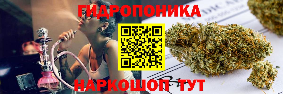 МАРИХУАНА OG Kush  Шишки марихуана сатива  Курчалой  Конопля план  Шишки марихуана MAZAR  Вход с VPN 